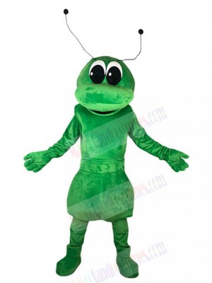 Ant mascot costume