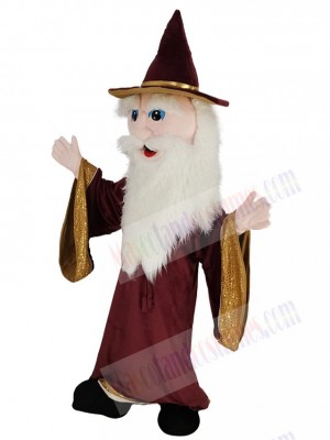 Merlin Wizard mascot costume