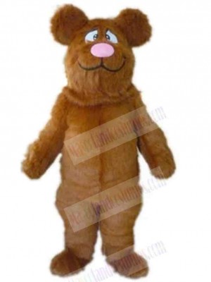 Bear mascot costume