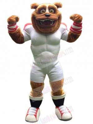 Bear mascot costume