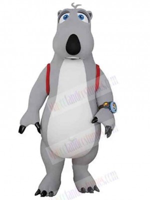 Bear mascot costume