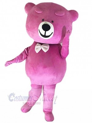 Bear mascot costume