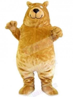 Bear mascot costume