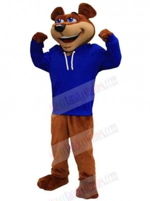 Bear mascot costume