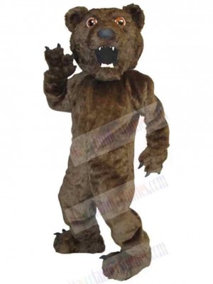 Bear mascot costume