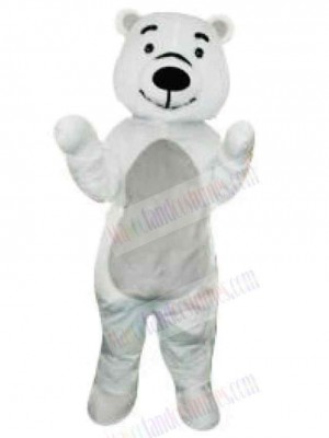 Bear mascot costume