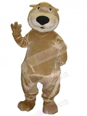 Bear mascot costume