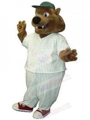 Bear mascot costume