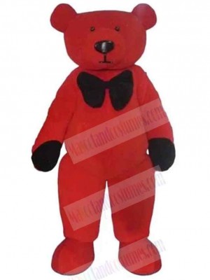 Bear mascot costume
