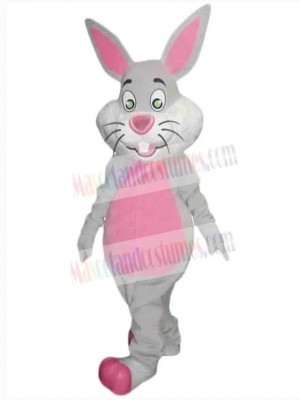 Easter Bunny Rabbit mascot costume