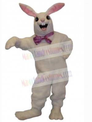 Easter Bunny Rabbit mascot costume