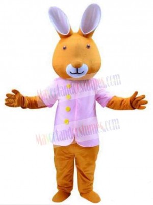 Easter Bunny Rabbit mascot costume