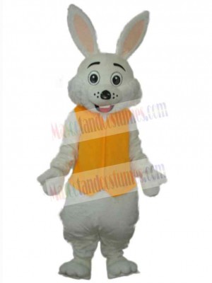 Easter Bunny Rabbit mascot costume