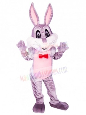 Easter Bunny Rabbit mascot costume