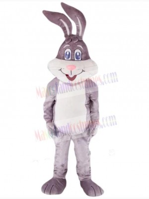 Easter Bunny Rabbit mascot costume