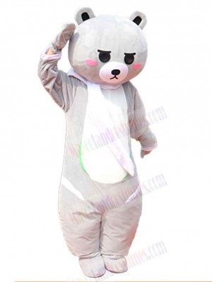 Bear mascot costume