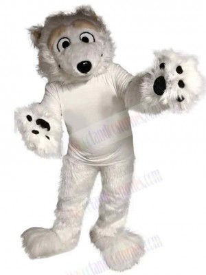 Bear mascot costume