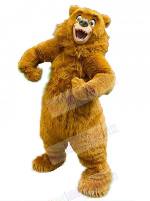 Bear mascot costume
