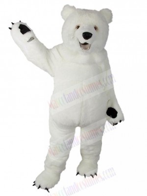 Bear mascot costume