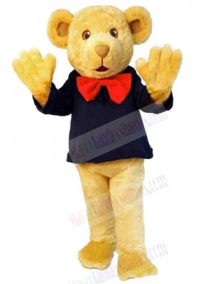 Bear mascot costume