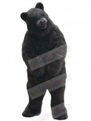 Bear mascot costume