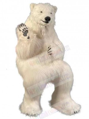 Bear mascot costume