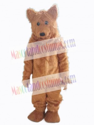 Bear mascot costume