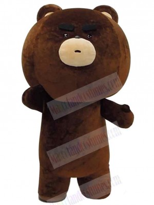 Bear mascot costume