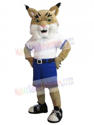Lynx mascot costume