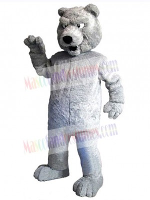 Bear mascot costume