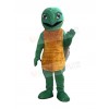 Turtle mascot costume