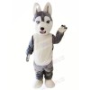Cute Grey Husky Dog Mascot Costumes Animal