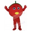 Tomato mascot costume