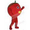 Tomato mascot costume
