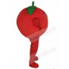 Tomato mascot costume