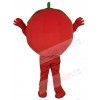 Tomato mascot costume