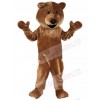 Bear mascot costume