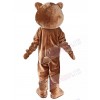 Bear mascot costume