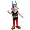 Asterix Obelix mascot costume