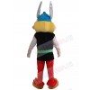 Asterix Obelix mascot costume