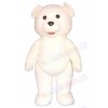 Teddy Bear mascot costume