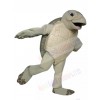 Luna The Sea Turtle mascot costume