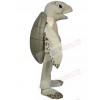 Luna The Sea Turtle mascot costume