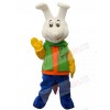 Bunny Rabbit mascot costume