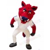 Wild Boar mascot costume