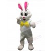 Easter Bunny Rabbit mascot costume
