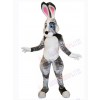 Easter Bunny Rabbit mascot costume