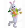 Easter Bunny Rabbit mascot costume