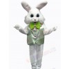 Easter Bunny Rabbit mascot costume