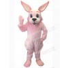 Easter Bunny Rabbit mascot costume